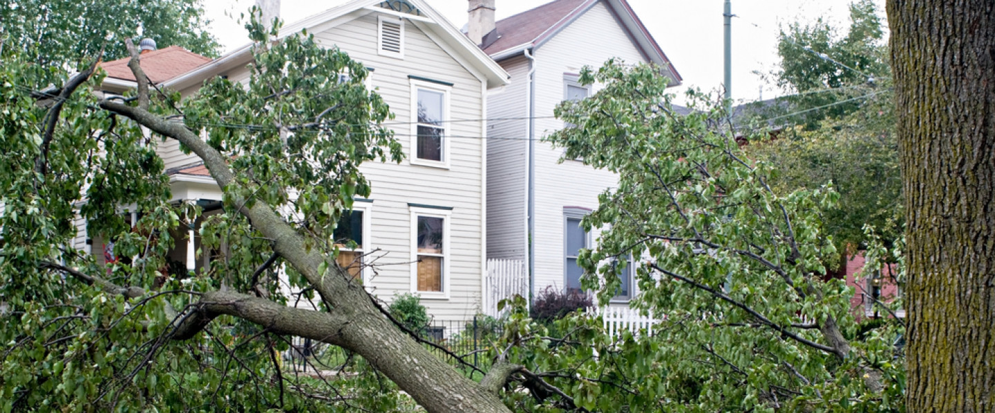 Did a Bad Storm Blow Debris All Over Your Lawn?